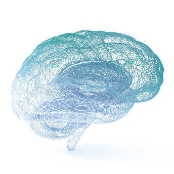 Artificial intelligence brain made with multi colored plastic wires on gray background. ( 3d render ) on white background